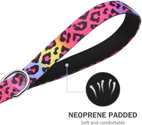 Hikiko 6FT Dog Leash Padded Double Handle with Designed Pattern