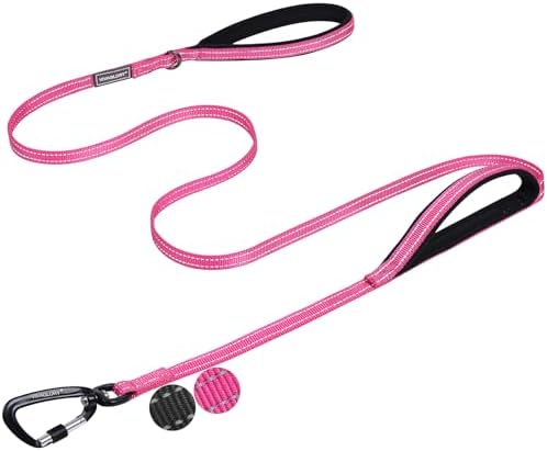 VIVAGLORY Double Handle Dog Leash Twingrip, 4ft x 1/2in, Pink-Carabiner