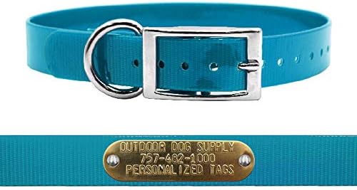 Heavy Duty Waterproof D-Ring Dog Collar w Personalized Name Tag, Teal 18"