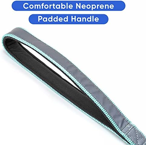 Pawtitas Teal Dog Leash 6 ft Custom ID Lead for Dogs & Puppies Reflective Comfortable Padded Handle Embroidered Name & Phone Number