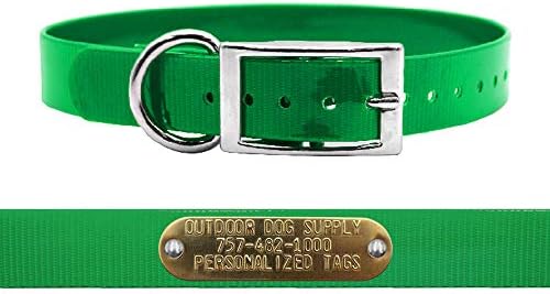 Heavy Duty Waterproof D-Ring Dog Collar w Custom Name Tag, Dark Green 18"