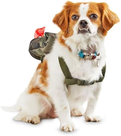 Reddy Camo Canvas Dog Backpack, Small/Medium