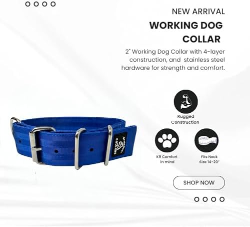 SparkDog 2” Working Dog Collar – Heavy Duty