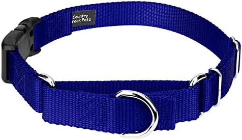 Martingale Dog Collar - Heavy Duty Nylon Adjustable Martingale Dog Collar with Plastic Buckle for Small Medium Large Breeds - 30+ Colors (3/4 Inch, Small, Bright Royal Blue)