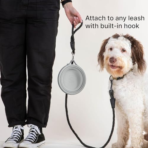 Cleverpup Nomad Large Collapsible Travel Dog Bowl - 4 Cup, Grey Silicone