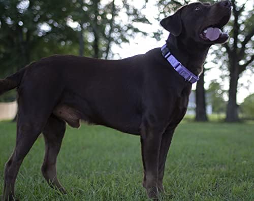 Martingale Dog Collar - Heavy Duty Nylon Adjustable Martingale Dog Collar with Plastic Buckle for Small Medium Large Breeds - 30+ Colors (1 Inch, Medium, Lavender)
