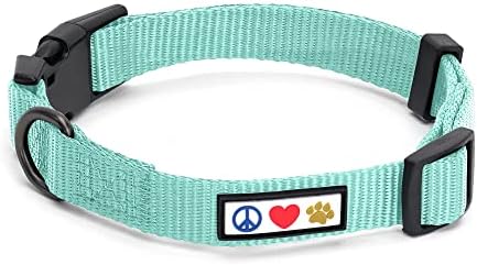 Pawtitas Solid Color Teal Puppy or Dog Collar, X-Small