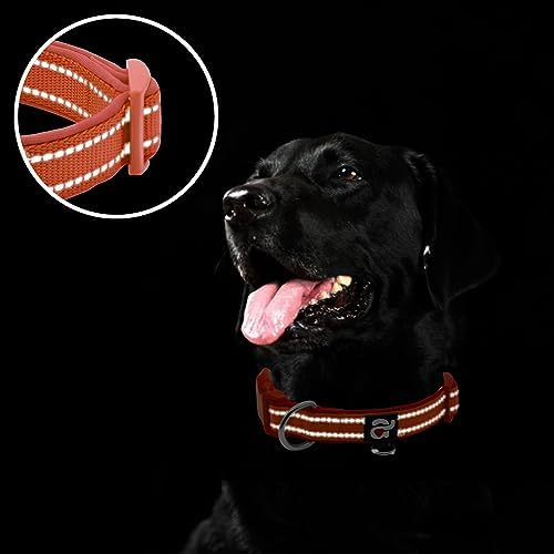 azuza Reflective Dog Collar, Neoprene Padded Puppy Collar, Rust Red, XS