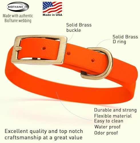 Viper Biothane Heavy Duty Waterproof Dog Collar Strong Coated Nylon Webbing w/Solid Brass Hardware Odor-Proof Easy to Clean High Performance Fits Small Medium or Large Dogs, Hunter Orange