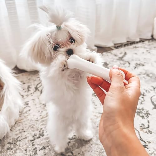 Nylabone New Puppy Starter Kit, Puppy Teething Toys, 3 Pack, Blue