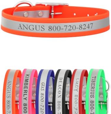 dogIDs Personalized Reflective Waterproof Dog Collar - Custom, Durable, Adjustable, Odor Resistant, Safe, Engraved - Orange, 1 in x 20 in (Fits Neck Sizes: 18-22 in)