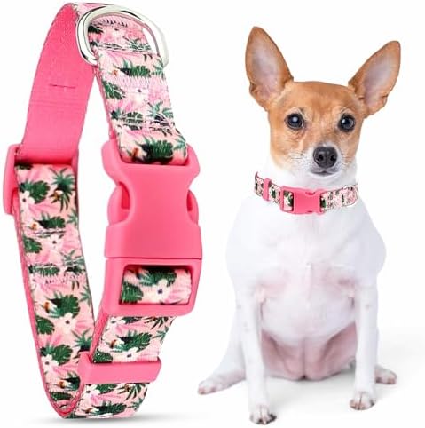 Parisian Pet Floral Pink Dog Collar - Adjustable Tropical Toucans Pet Collar with Secure Buckle and Metal D-Ring - Comfortable Designer Girl Puppy Collars - Durable Nylon Dog Collars for Medium Dogs