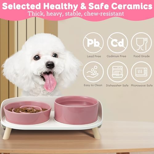 Elevated Slow Feeder Dog Bowls with Splash Proof Stand, Slow Eating 5X
