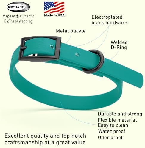 Dogline Biothane Waterproof Dog Collar Strong Coated Nylon Webbing with Black Hardware Odor- Proof for Easy Care Easy to Clean High Performance Fits Small Medium or Large Dogs, Blue Aqua