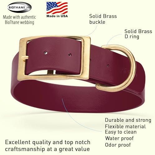 Viper Biothane Heavy Duty Waterproof Dog Collar Strong Coated Nylon Webbing w/Solid Brass Hardware Odor-Proof Easy to Clean High Performance Fits Small Medium or Large Dogs, Merlot Burgundy
