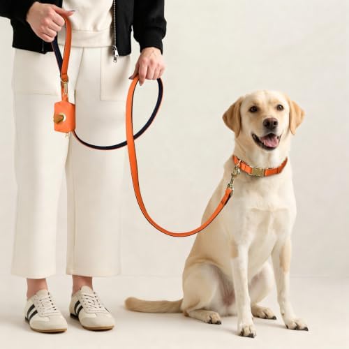 Didog Soft Padded Dog Collar for Large Dogs, Orange, L Neck 16-22"