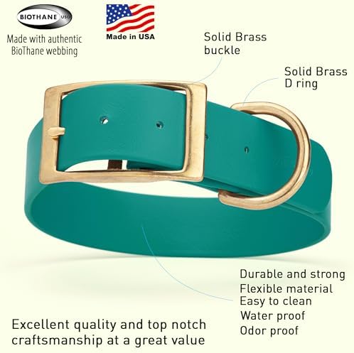 Viper Biothane Heavy Duty Waterproof Dog Collar Strong Coated Nylon Webbing w/Solid Brass Hardware Odor-Proof Easy to Clean High Performance Fits Small Medium or Large Dogs, Blue Aqua