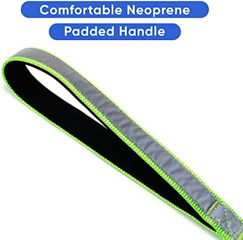 Pawtitas 6 FT Padded Dog Leash with Comfortable Neoprene Padding Handle - Green Lead | Medium Reflective Dog Leash with Highly Reflective Band Perfect for Medium and Large Dogs and Puppies.