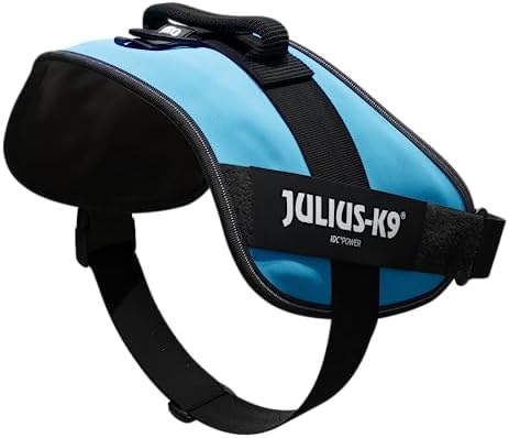 Julius-K9, 16IDC-AM-4, IDC Powerharness, Dog Harness, Size: 4, Aquamarine