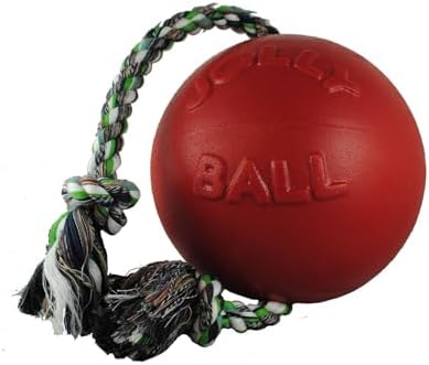 Jolly Pets Romp-N-Roll Rope & Ball Dog Toy, 4.5 in Small, Blueberry