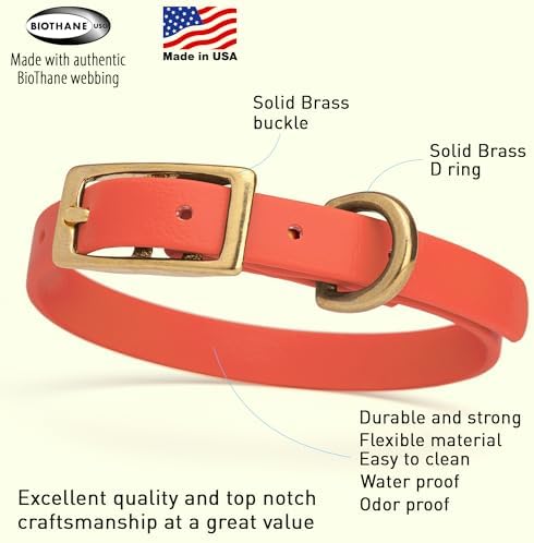 Viper Biothane Heavy Duty Waterproof Dog Collar Strong Coated Nylon Webbing w/Solid Brass Hardware Odor-Proof Easy to Clean High Performance Fits Small Medium or Large Dogs, Coral