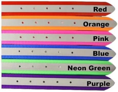 Reflective Dayglo Dog Collar Free Engraved Brass ID tag USA (Neon Green 25")