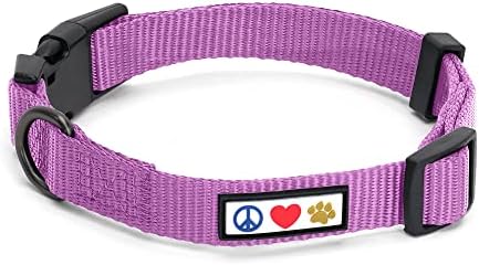 Pawtitas Solid Color Purple Orchid Puppy or Dog Collar, Medium