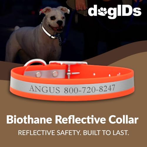 dogIDs Personalized Reflective Waterproof Dog Collar - Custom, Durable, Adjustable, Odor Resistant, Safe, Engraved - Orange, 1 in x 16 in (Fits Neck Sizes: 14-18 in)