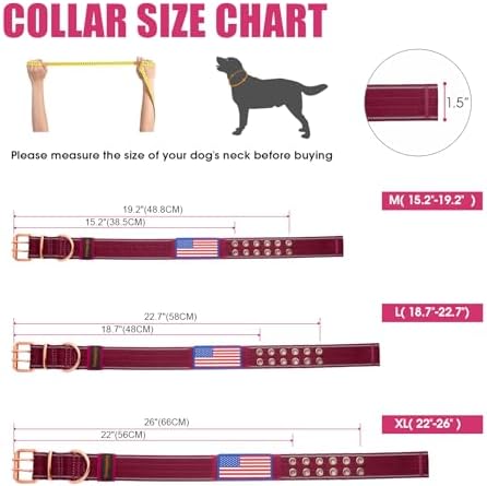 Heavy Duty Dog Collar for Medium Large Dogs,Wine Red,Large