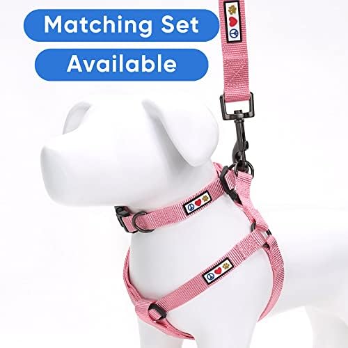 Pawtitas Personalized 6 ft Millennial Pink Dog Leash XXS/Cat Custom Name and Phone Embroidery Strong Nylon Leash for Small Breeds