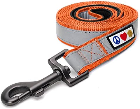 Pawtitas Orange Dog Leash 6 ft Custom ID Lead for Dogs & Puppies Reflective Comfortable Padded Handle Embroidered Name & Phone Number