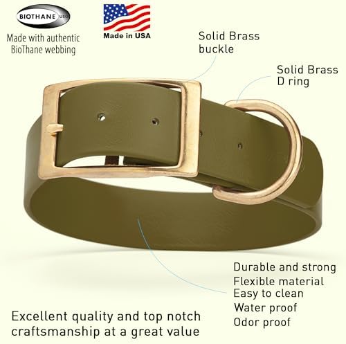 Viper Biothane Heavy Duty Waterproof Dog Collar Strong Coated Nylon Webbing w/Solid Brass Hardware Odor-Proof Easy to Clean High Performance Fits Small Medium or Large Dogs, Olive Drab Green