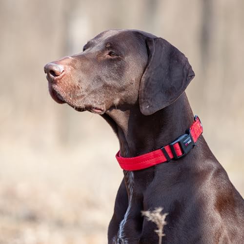 Dogline Red Nylon Collar (W: 3/4" L: 13"-20")