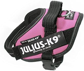 Julius-K9, 16IDC-PN-M, IDC Powerharness, Dog Harness, Size: Mini, Pink