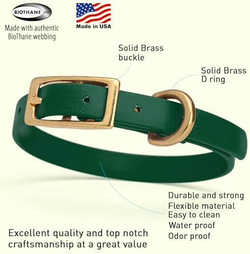 Viper Biothane Heavy Duty Waterproof Dog Collar Strong Coated Nylon Webbing w/Solid Brass Hardware Odor-Proof Easy to Clean High Performance Fits Small Medium or Large Dogs, Hunter Green