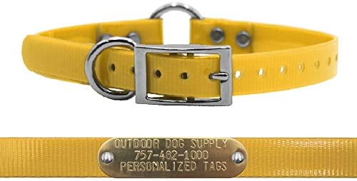 Lightweight D & Center Ring Dog Collar w Custom Name Tag, SCH Bus Yellow