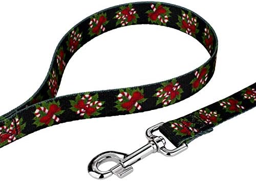 Country Brook Petz - Black Candy Cane Everyday Dog Leash - Christmas Collection Featuring Festive Designs (4 Foot, 5/8 Inch Wide)