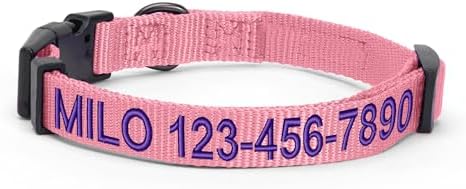 Pawtitas Personalized Dog Collar - Embroidered with Name & Phone Number - Adjustable, Customized Collar for Small Dogs & Puppies - Pink