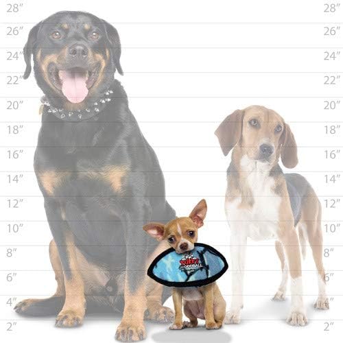 TUFFY® : 2 Pack Odd Ball Dog Toy: Ultra Durable Plush Toy with Multiple Layers & Reinforced Seams, Washable and Floats, Original Construction