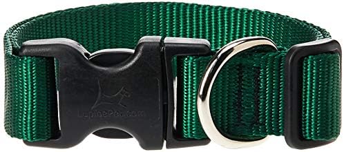LupinePet Basics 1" Green 12-20" Adjustable Collar for Medium and Larger Dogs