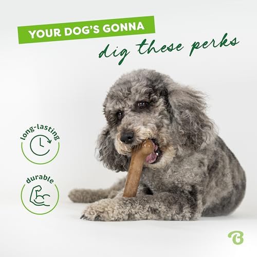 Benebone Bone Dog Chew Toy for Aggressive Chewers, Real Bacon, Giant