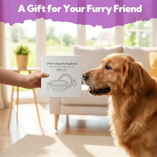 Collapsible Dog Bowl Large 34oz, Travel Dog Water Bowl Portable