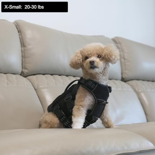 ICEFANG No Pull Tactical Dog Harness for X-Small Dogs,Adjustable Dog Vest