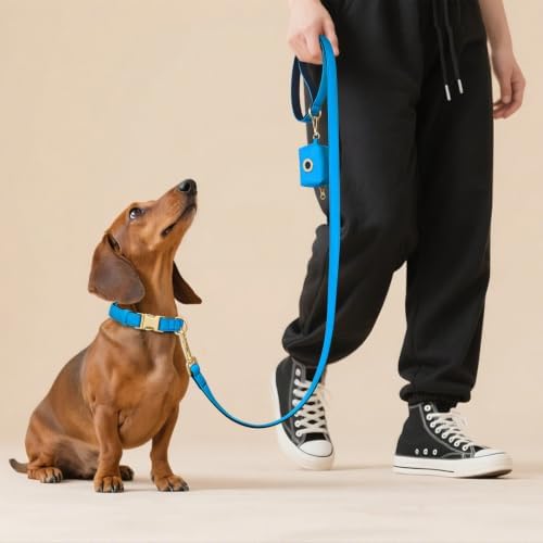 Didog Soft Padded Dog Collar for Small Dogs, Blue, S Neck 10-15"