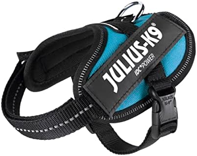 Julius-K9, 16IDC-AM-B2, IDC Powerharness, Dog Harness, Size: Baby 2, Aquamarine
