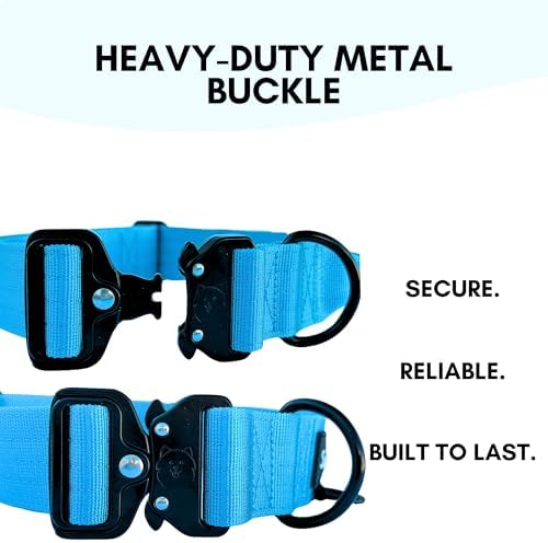 ShawnCo Basecamp Tactical Dog Collar (Mustang Red, M)