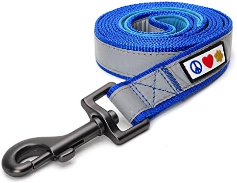Pawtitas 6 FT Padded Dog Leash with Comfortable Neoprene Padding Handle - Blue Lead | Reflective Dog Leash with Highly Reflective Band Perfect for Extra Small and Small Dogs and Puppies