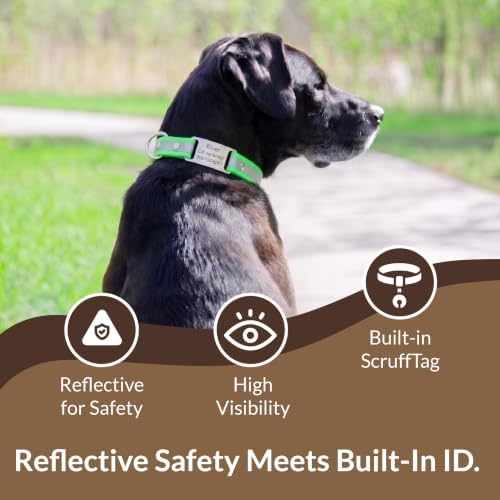 dogIDs Personalized Reflective Waterproof ScruffTag Dog Collar - Custom, Soft Grip, Safe Adjustable, Odor Resistant - Black, 1 in x 16 in (Fits Neck Sizes: 14-18 in)