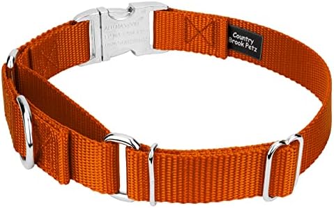 Country Brook Petz - Martingale Dog Collar - Heavy Duty Nylon Adjustable Martingale Dog Collar with Metal Buckle for Small Medium Large Breeds - 30+ Color Options (1 Inch, Medium, Orange)