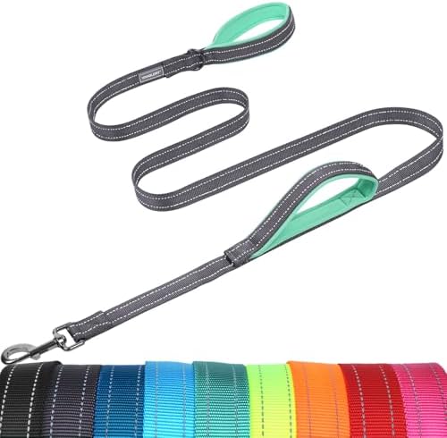 VIVAGLORY Double Handle Dog Leash Twingrip, 5ft x 1in, Grey